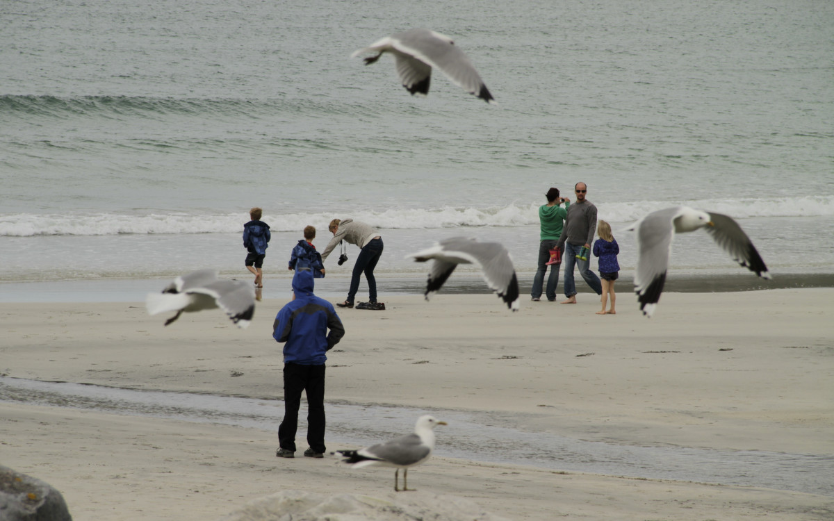 Foto: Tore Schöning Olsen / nordnorge.com