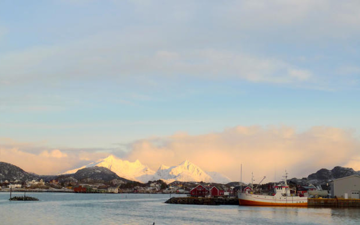 Buksnesfjorden blir surere. B&aring;de livet til havs og de som er avhengig av det kommer til &aring; bli p&aring;virket. Foto: Halvor Dannevig