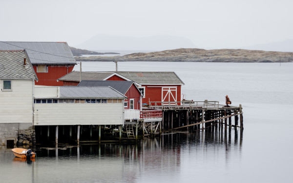 Træna, photo of houses by the shore