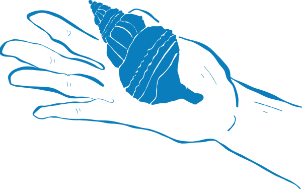 Illustration, hand holding shell