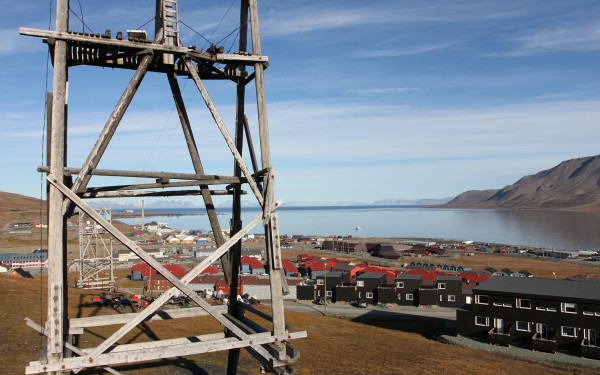 Taubanebukker Longyearbyen. Foto: Frank Andreassen / nordnorge.com