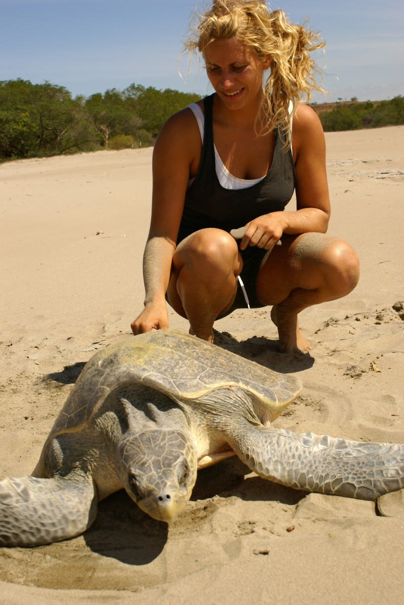 Unn - skilpadde. Foto: Privat